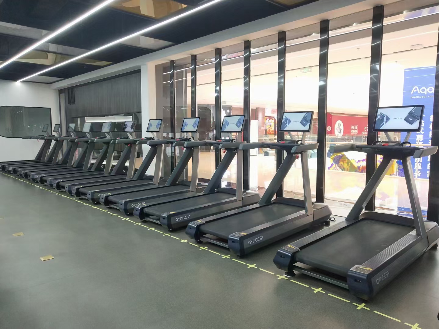 Commercial Gym Equipment